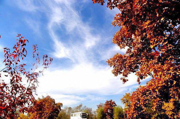 梁诗韵喻薇孟洁许晴笔趣阁免费阅读 仙人掌免费阅读小说