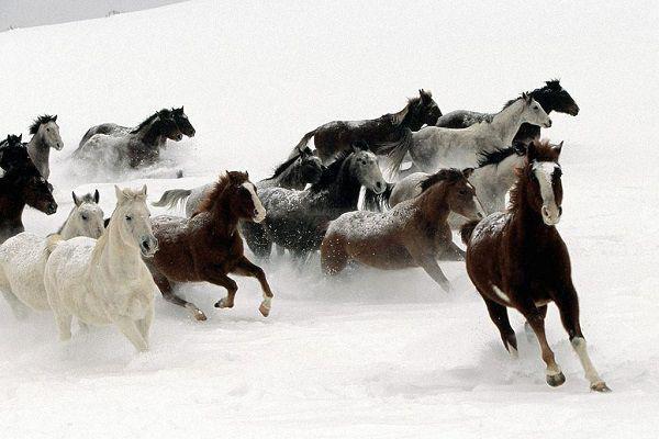 我傅忆潼小说叫什么 爱在凛冬时消亡电子书