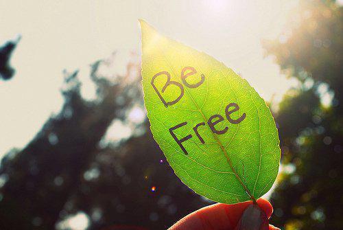 贺呈甘露笔趣阁免费阅读 老婆给她妈买二十三万包包,却嫌我妈八百房租贵小说贺呈甘露免费阅读