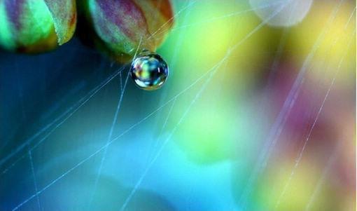 林斯于许恩雅沈程小说叫什么 女友和竹马对我妈开恶劣玩笑，我杀疯了林斯于许恩雅沈程小说