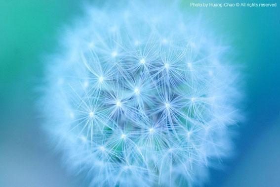 临安斐玄宋思瑶大结局后续 钗头凤最新章节免费阅读