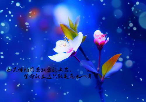 文秀最新章节更新时间 过年我用猪饲料宴请催婚亲戚免费阅读小说