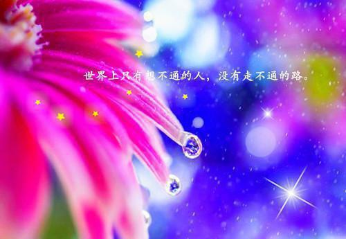 小鸟箫肃远大结局后续 锁春燕全文免费阅读