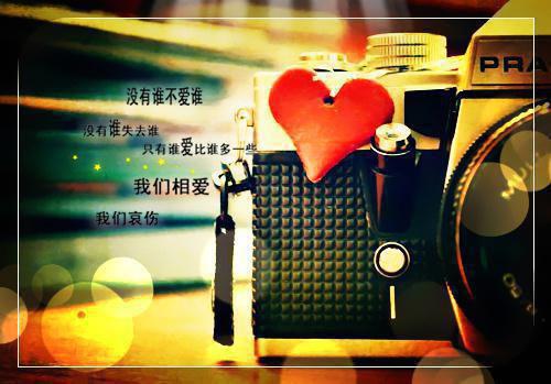 姜念沐清歌沈元清莲儿最新章节列表 念念不忘，再无回响小说最新章节列表