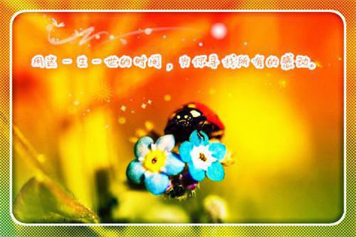 陈映雪宋承煜小说 暗恋从结婚开始免费阅读小说