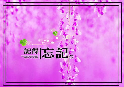 宋听依霍砚知秦清妩小说免费阅读全文 误将晚霞落黄昏小说全文免费