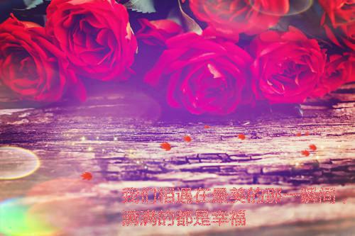 庄夏霍屿霍明琛结局 夏夏和小琛一家最新章节免费阅读