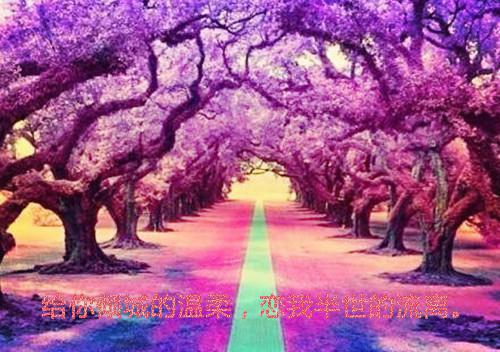 林芷晴陈旭叫什么小说 发现停车券少三张后我让老公净身出户(青衫客)免费阅读