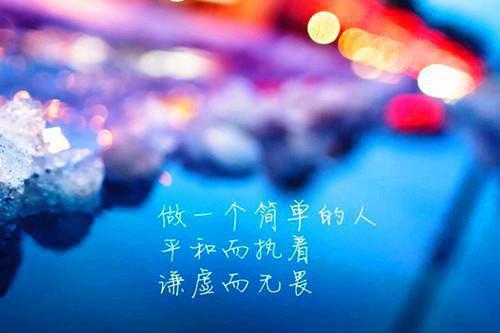 周慕尔霍瑾年小说 尔尔:莫莉小说正版免费阅读
