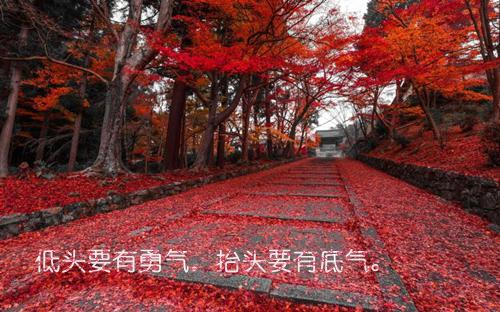 安凝周司谨陆仪小说叫什么 错爱终留不住男主安凝周司谨陆仪小说