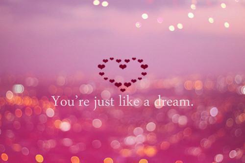 宋稚傅西洲小说结局 蔷薇遗失于人海之外：后续小说宋稚傅西洲免费阅读