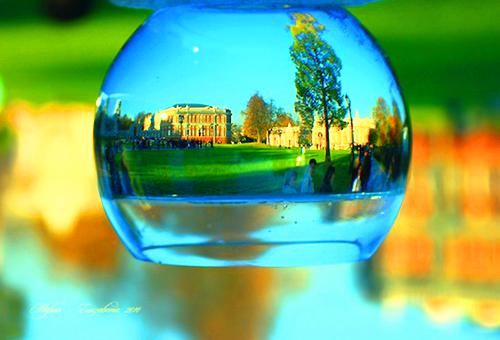 陆沉舟沈意欢：免费品鉴（陆沉舟沈意欢清）最新免费小说_《陆沉舟沈意欢：免费品鉴》陆沉舟沈意欢清完整版小说