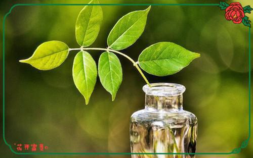 清竹赵婉朱珩小说免费阅读 雪中春信：后续笔趣阁最新章节列表