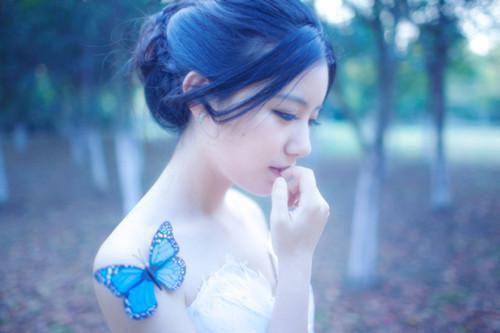 沈扶音陆今安最新章节更新 清风未挽旧时人免费阅读小说