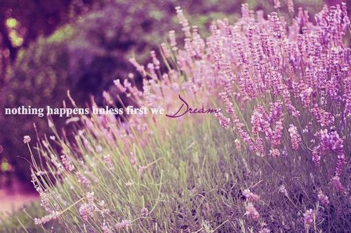 许岁欢林婉月秦梦川免费阅读最新章节 把我丢在雪山后，家人一夜白头全文免费阅读