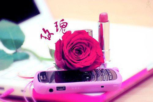 全本重生后，我让白月光跪着求原谅（秦砚舟苏昭昭）最新章节列表_全本重生后，我让白月光跪着求原谅全文阅读