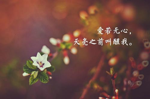 姜静姝苏佩兰沈承宗沈婉宁什么关系 老夫人威武，重生侯府嘎嘎乱杀小说完整版免费