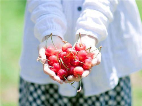 独家小说《终随雁影各西东:全文+后续+结局》倪安程希叶文渊全文免费阅读无弹窗_倪安程希叶文渊最新小说无广告(终随雁影各西东:全文+后续+结局)