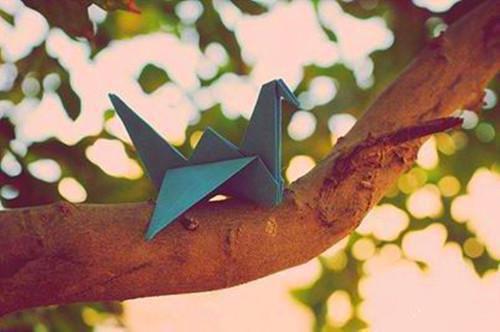 李云薇裴瑾云荷最新章节内容 深渊尽处是灯火结局