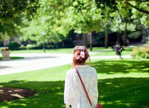 宋雅沈宴小说结局 听见我的猫在我耳边呓语后，我离婚了电子书