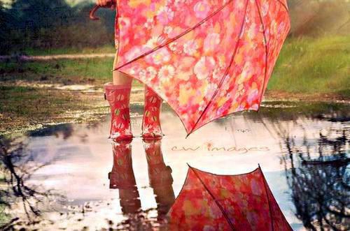 免费完结小说沈栖月容瑾戈(容瑾戈沈栖月)_沈栖月容瑾戈(容瑾戈沈栖月)小说完整版免费阅读