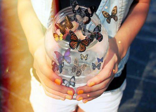 完结版南枝错许此生迟沈青柠许恒霖沈云雅小说阅读_南枝错许此生迟(沈青柠许恒霖沈云雅)小说免费阅读