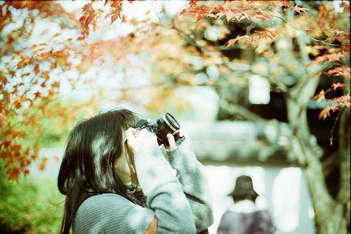 陈翡禾陆翊沉最新章节列表 陈翡禾陆翊沉小说最新章节列表