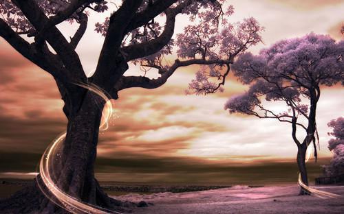 沈意安陆时延沈果果最新章节内容 沈意安陆时延完整版