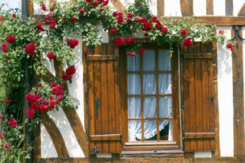 老公青梅偷我的机器人参赛,被它当场暴揍全文小说施晴宋宇小说在线阅读