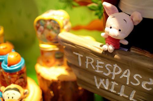 江哲盛婉叫什么小说 偏我走时冰雪消融笔趣阁最新章节