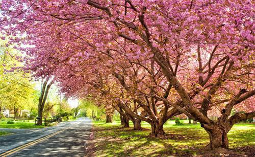 乔语顾薇薇唐然江月陈澜最新章节列表 室友送我A货，我让她家破人亡乔语顾薇薇唐然江月陈澜小说