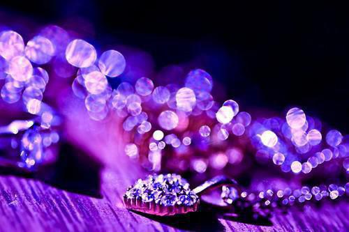 闻姑娘裴渡小说在线阅读 闻雪意裴渡免费阅读