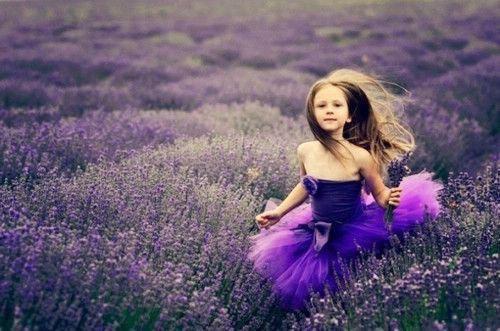 夏夏简瑶沈清让小说免费阅读 先别抑郁!我马上回家救赎你(小说家)免费阅读