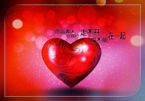 陆昭宁顾珩顾长渊林婉晴小说免费阅读 前夫要背叛我，我反手虐他全家：后续陆昭宁顾珩顾长渊林婉晴全文