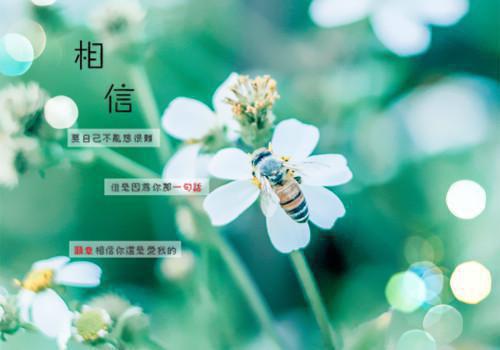 沈小姐陆舟杜玲小说名 我怀孕产检，老公在外面给白月光捶腿在线阅读