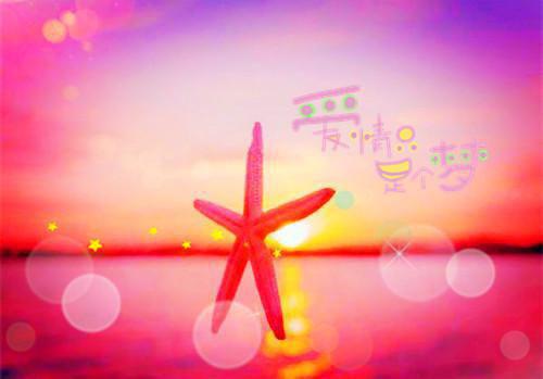 宋云澜裴清鸢免费阅读 共渡青山万重难免费阅读