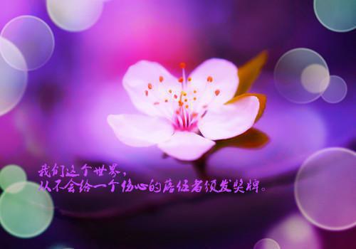 江城林小小林小月小说名字 工伤大出血急需救命，女友转我元小说