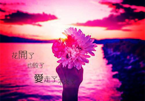 亲吻老婆奖五百万，这奶爸我当定了全文阅读（李宇顾悦颜）最新章节_亲吻老婆奖五百万，这奶爸我当定了全文阅读