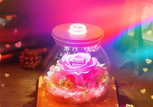 陆知画谢辞风谢辞风陆知画免费小说笔趣阁_陆知画谢辞风谢辞风陆知画完结小说免费阅读