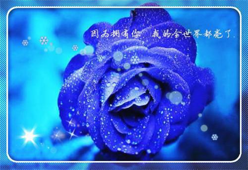 苏晚江辰唐柠小说免费阅读最新章节 男友给我送五金,我送他下地狱小说苏晚江辰唐柠免费阅读