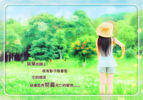 苏九笙萧霁珩林清兮免费阅读 朝来夜雨时未删减小说