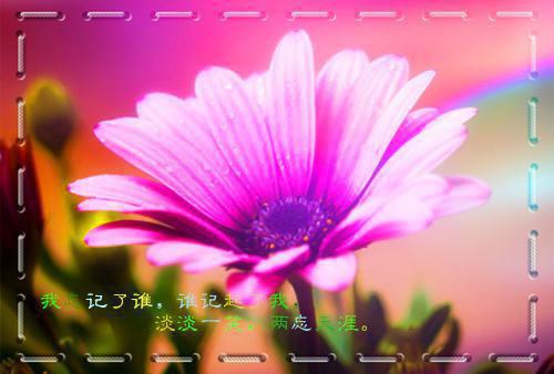 喻夏陆淮宴小说叫什么 海棠未雨半春休小说全文阅读