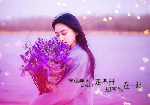 苏瑾妍谢忱最新章节列表 所望皆星月最新章节更新