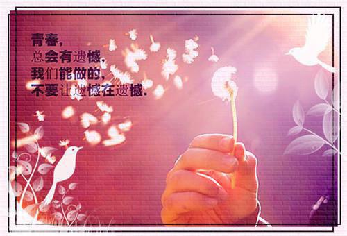 林时安许枝宋明最新章节内容 我现场直播跳楼，逼我认亲的老婆后悔疯了免费阅读小说