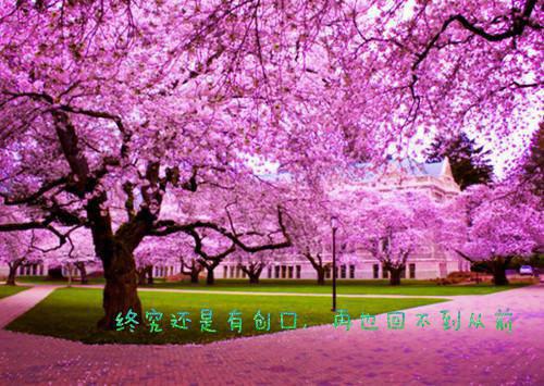 周慕尔霍瑾年最新章节内容 尔尔.后续周慕尔霍瑾年小说