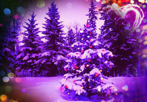 谢楚薇林秉易结局 谢楚薇林秉易小说免费阅读全文最新章节