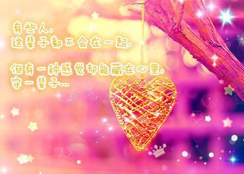 顾珠免费阅读最新章节结局 妈妈这次我带你回家：番外最新章节免费阅读