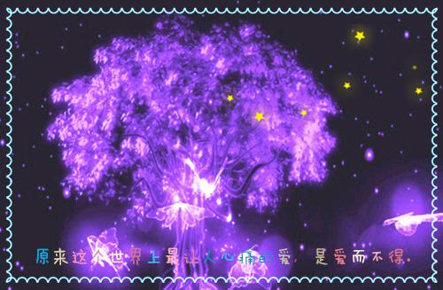 我妈妈小说结局 妈妈跟我和解的那一刻，我投胎成了她最爱的狗免费阅读全文