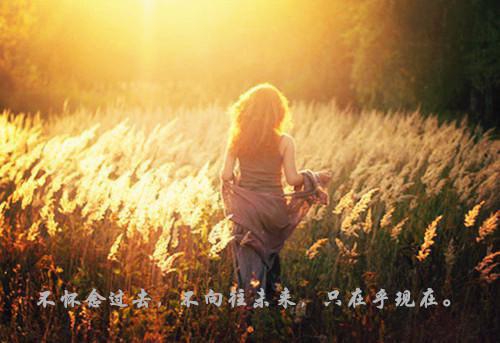 舒浅盛景辰小说结局 旧梦已入江南知乎小说