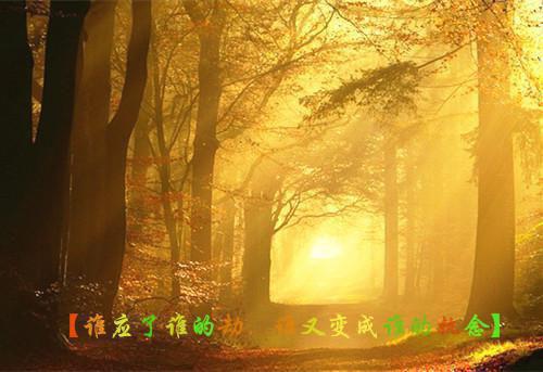 姜绾谢聿珩姜延许青棠小说名 青丝绾尽离别意：后续全文免费阅读